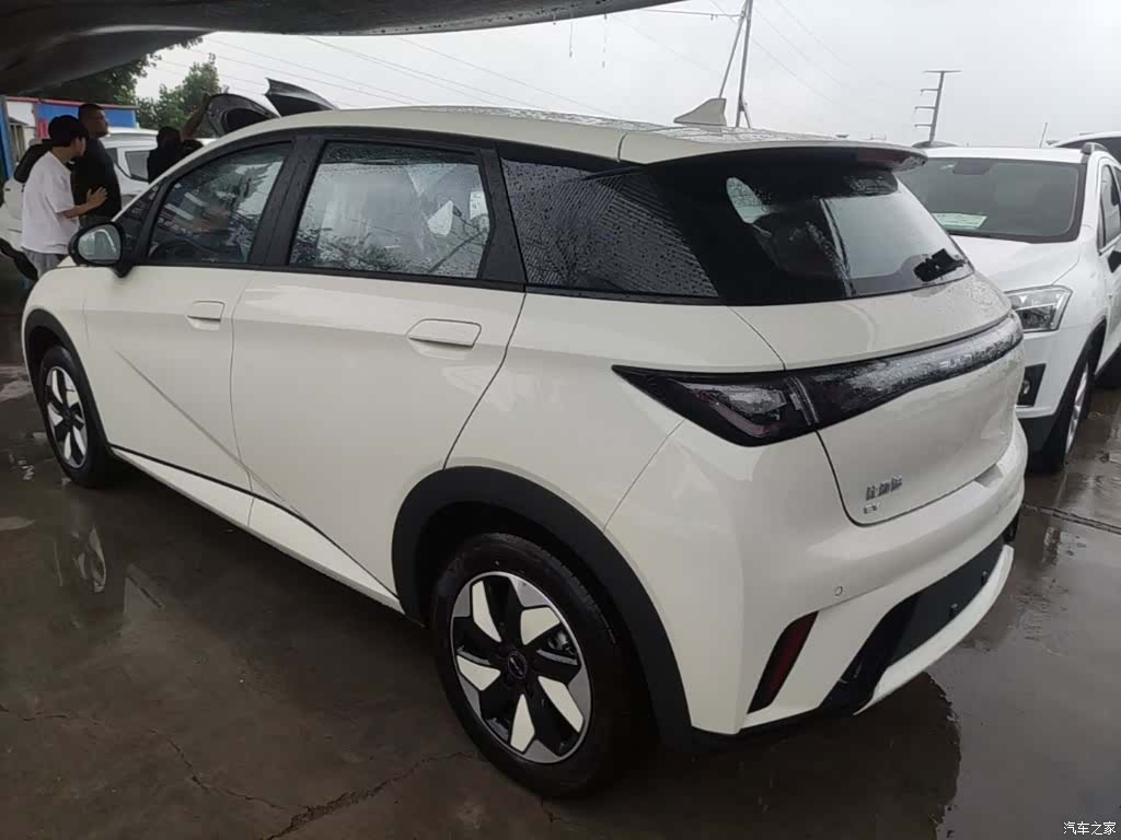 BYD Dolphin, 2026 все фото