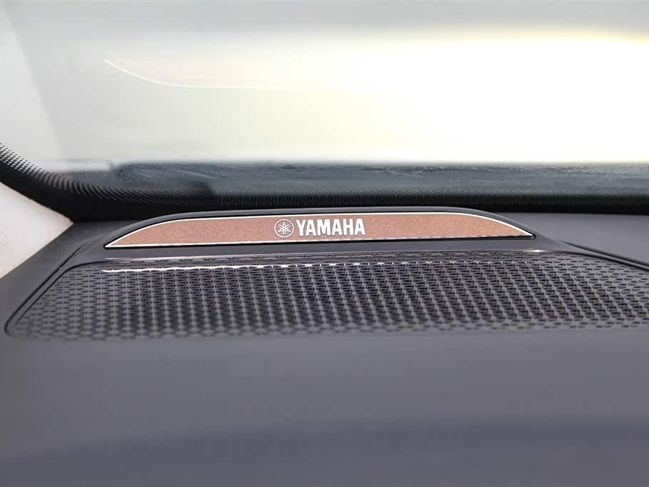 Trumpchi Trumpchi E9 Trumpchi Trumpchi E9