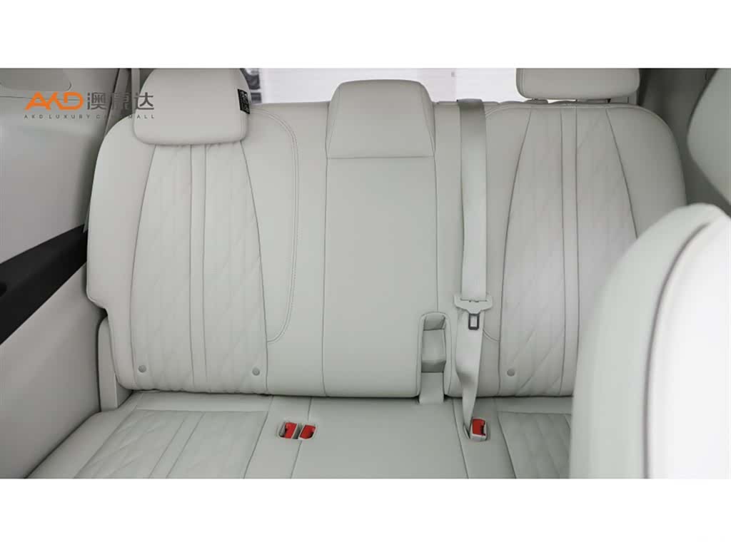 Buick GL8, 2022 9