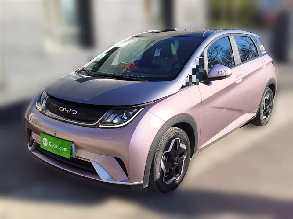 BYD dolphin