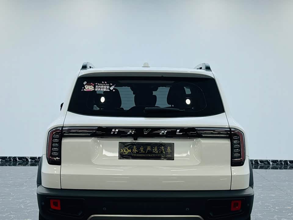 Haval Big dog