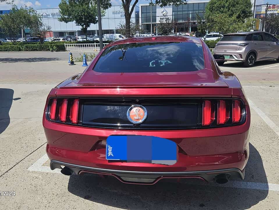 Ford Mustang Ford Mustang