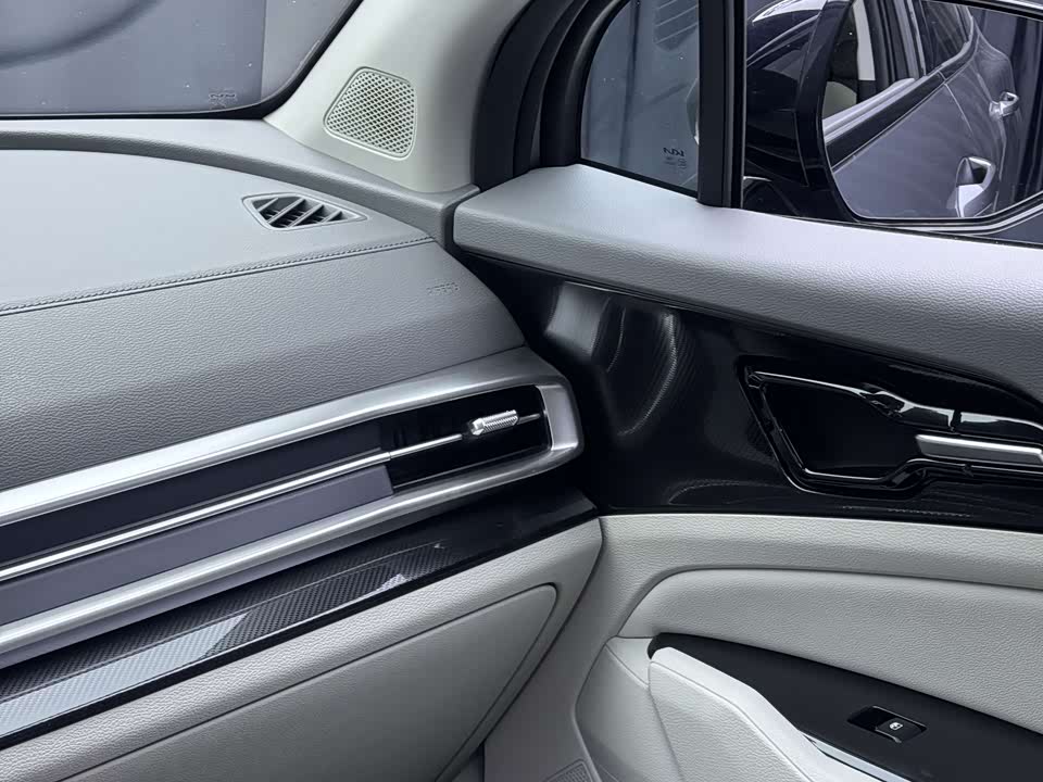 Kia Lion Platinum expands the world