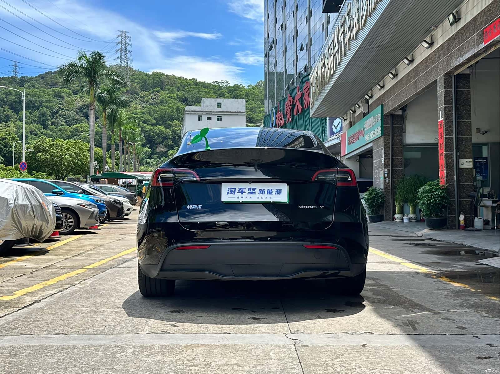 Tesla Model Y, 2024 все фото