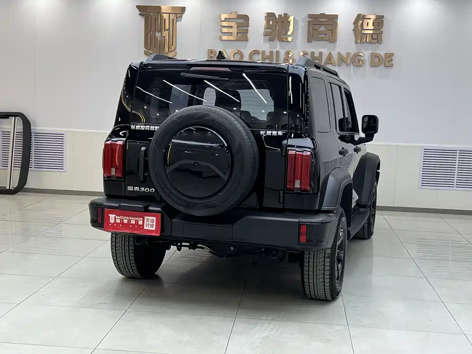 Tank 300