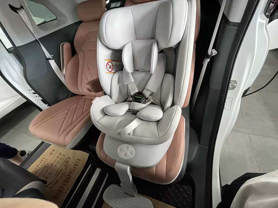 ARCFOX Polar fox koala