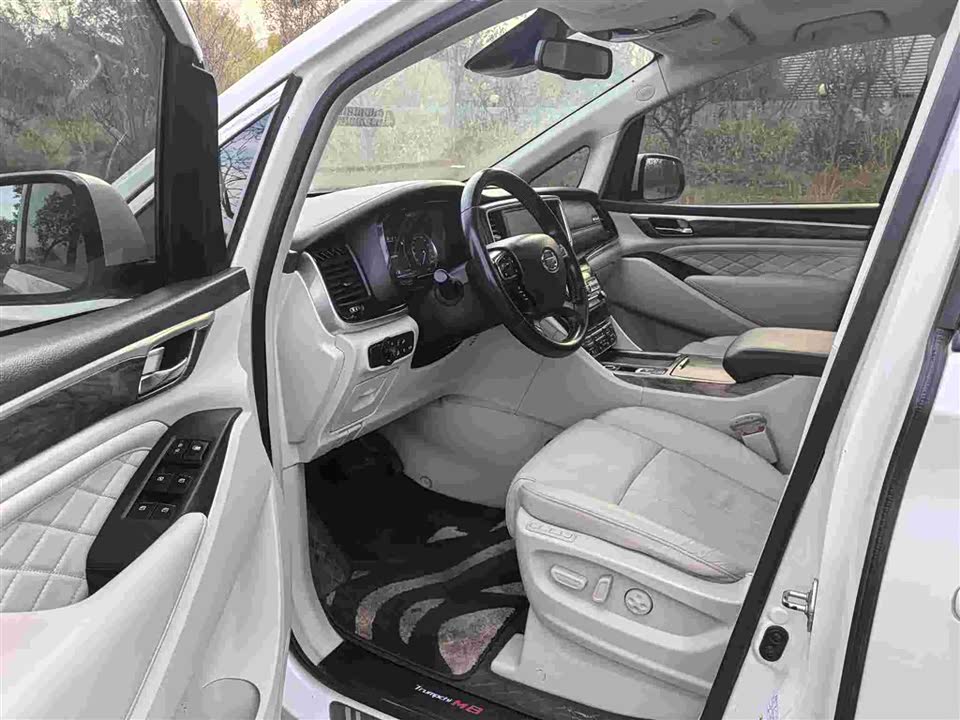 Trumpchi Trumpchi M8