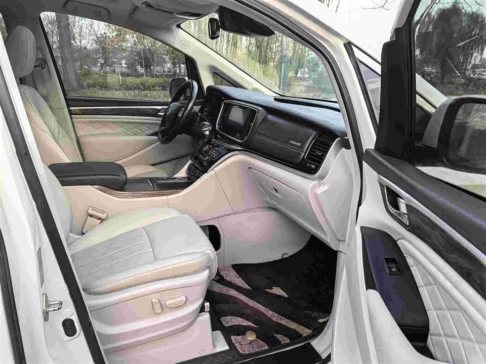 Trumpchi Trumpchi M8