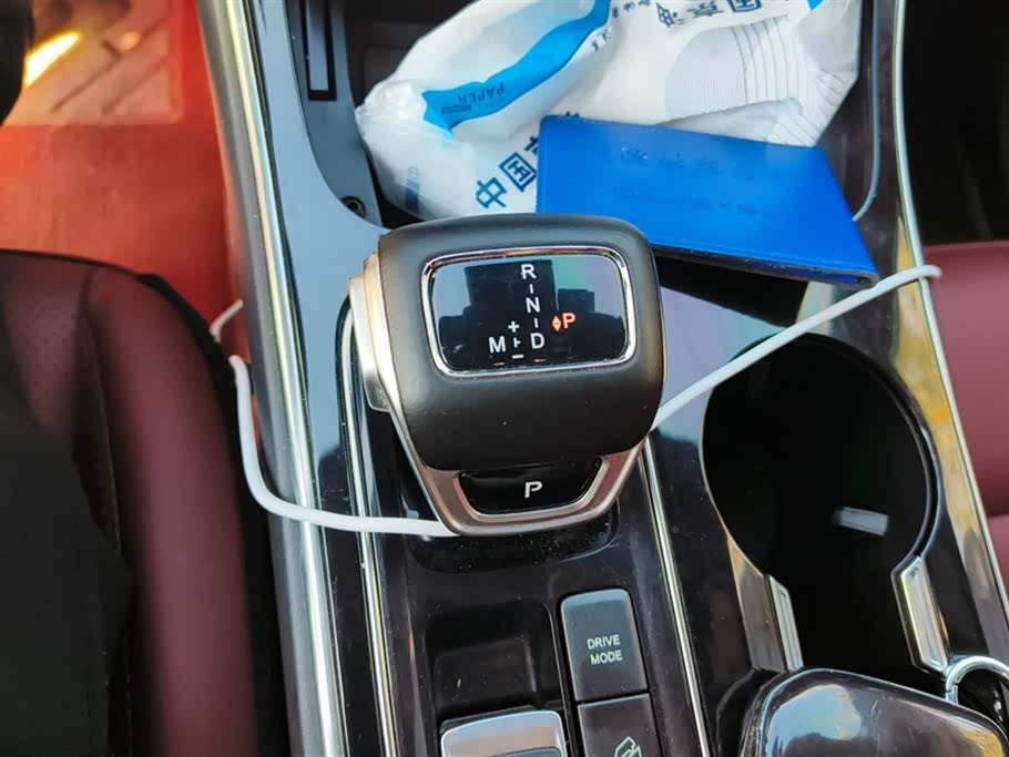 Forthing Popular T5 EVO