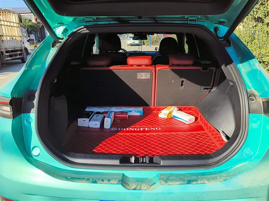 Forthing Popular T5 EVO