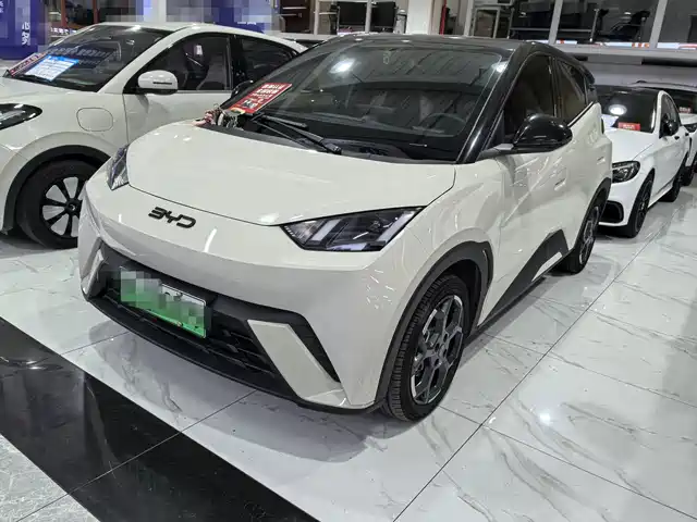 BYD Seagull 2024 — купить из Китая под заказ