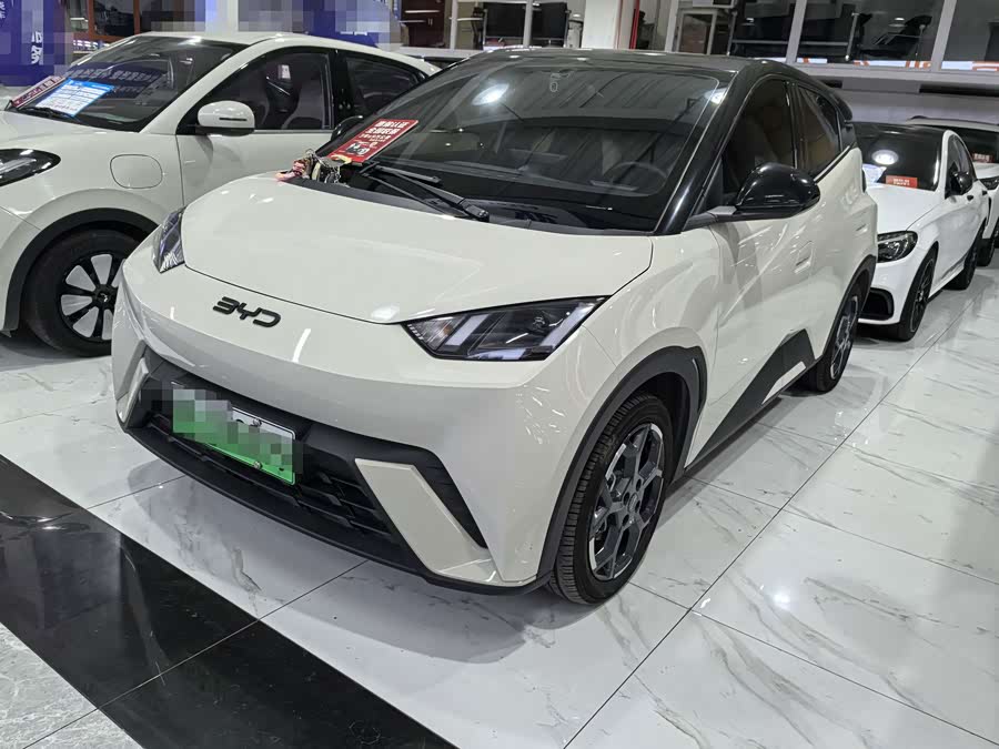 BYD Seagull 2024, фото 1