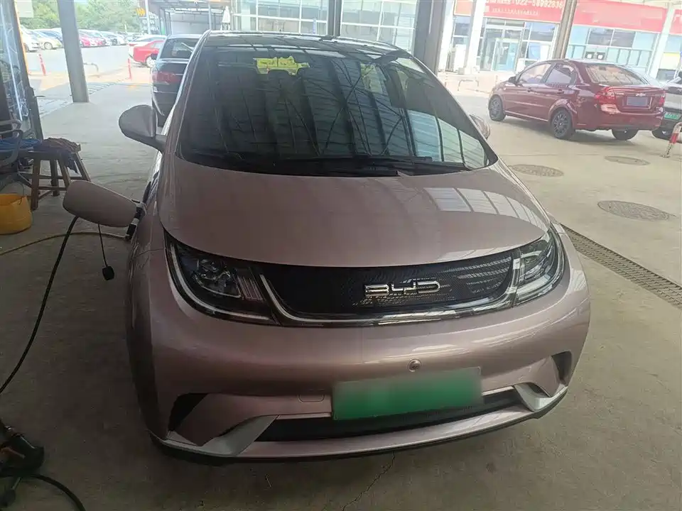 BYD dolphin