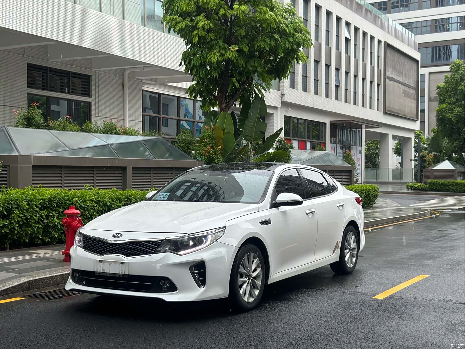 Kia K5, 2016 1