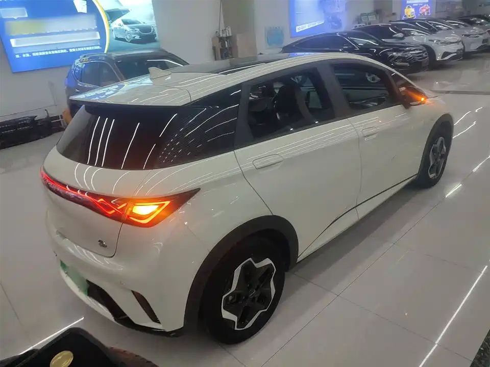 BYD dolphin