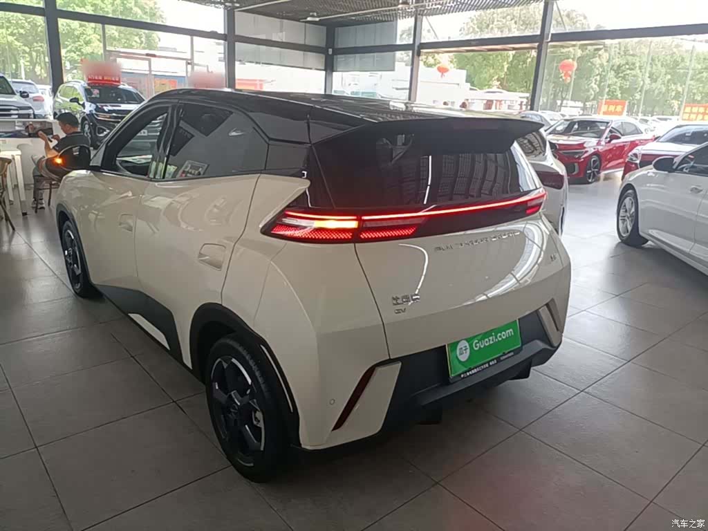 BYD Seagull, 2023 все фото