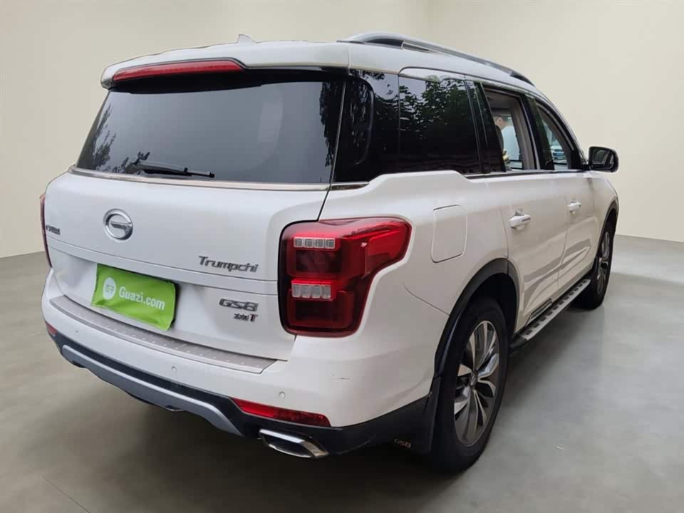 Trumpchi Trumpchi GS8