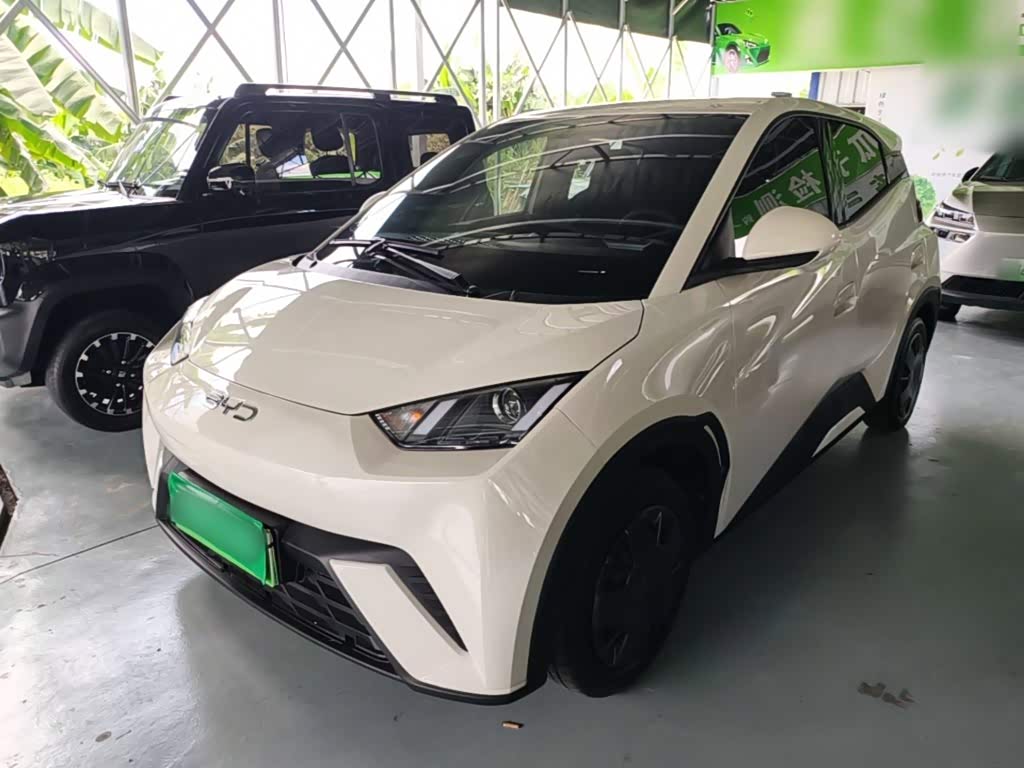 BYD Seagull