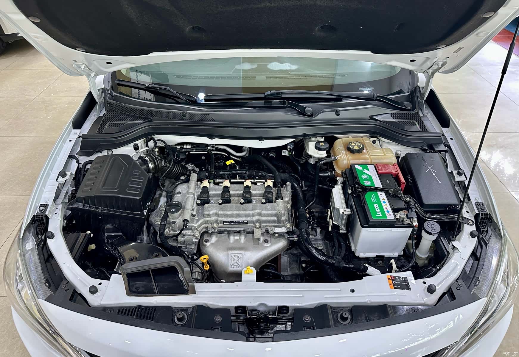 Chevrolet 320, 2018 19