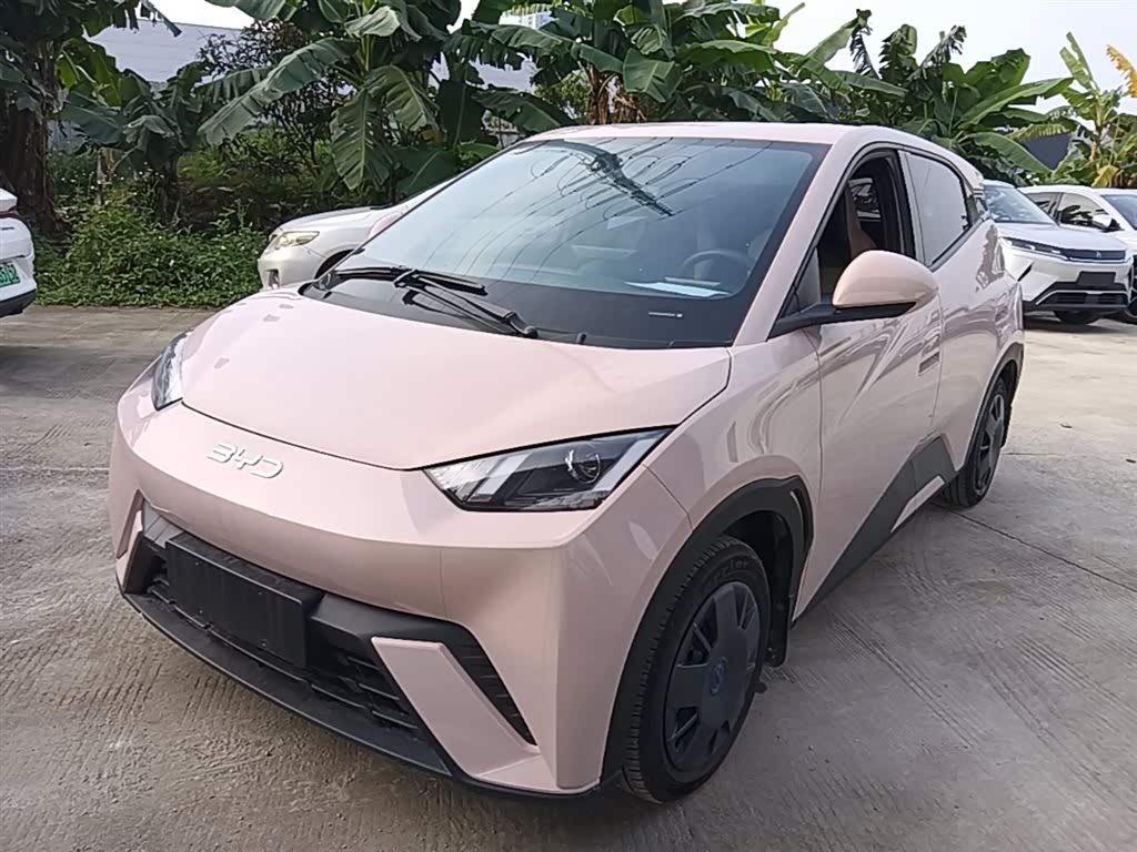 BYD Seagull
