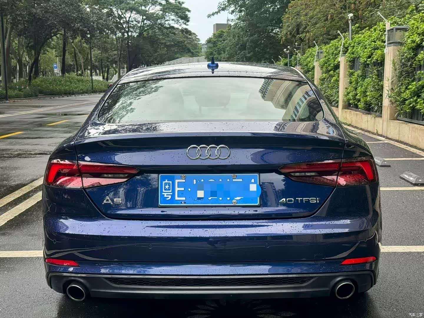 Audi A5, 2019 все фото