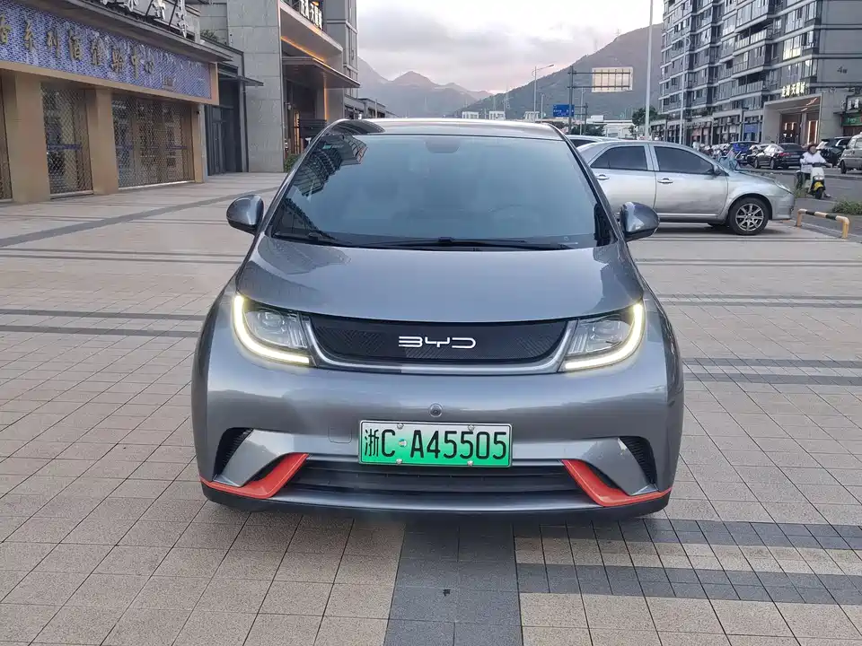 BYD dolphin