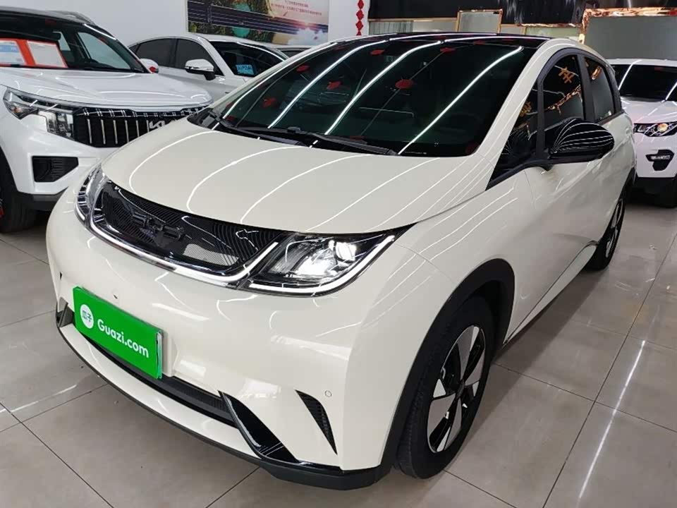 BYD dolphin