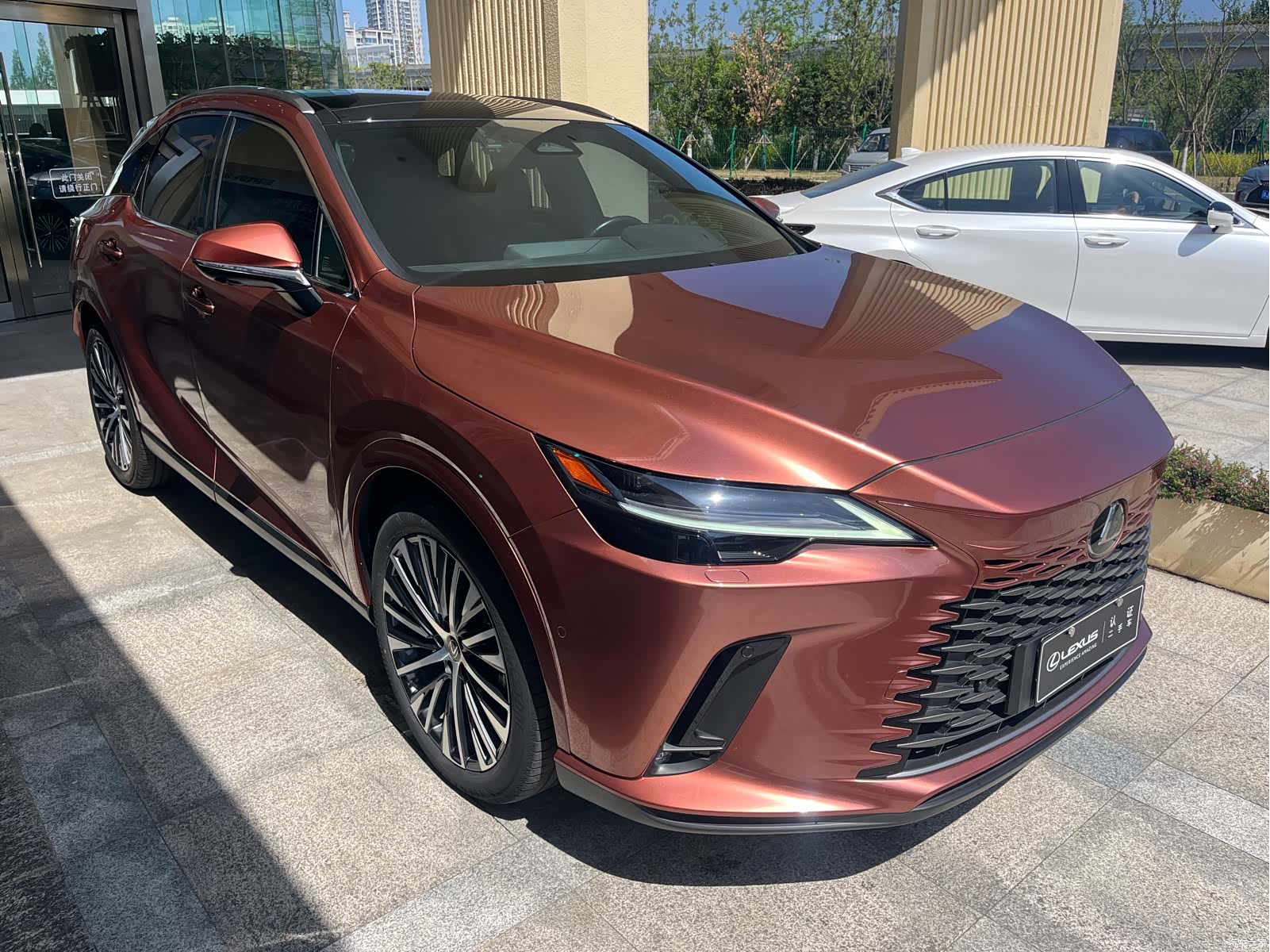 Lexus RX, 2023 3