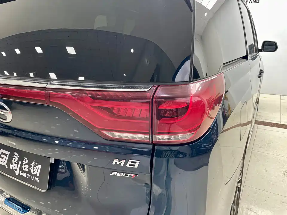 Trumpchi Trumpchi M8