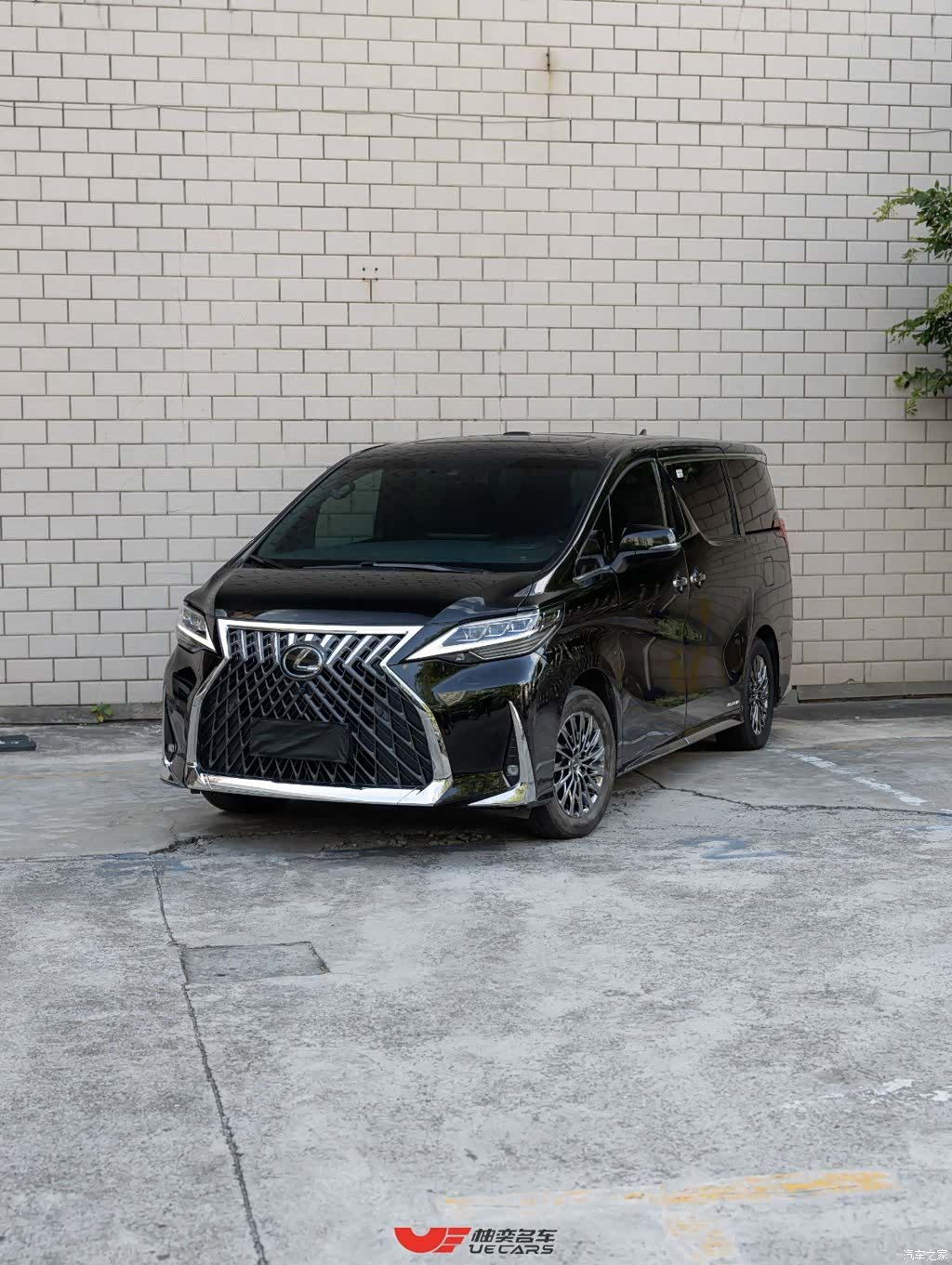 Lexus LM, 2023 1