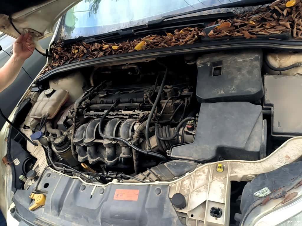 Ford Focus, 2015 20