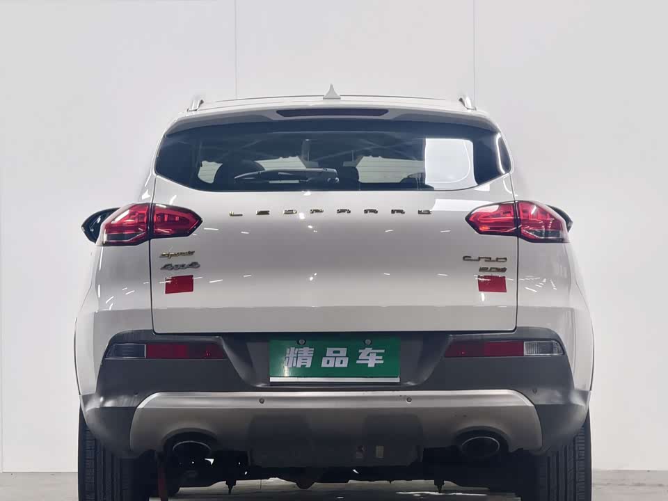 Leopaard Cheetah CS10