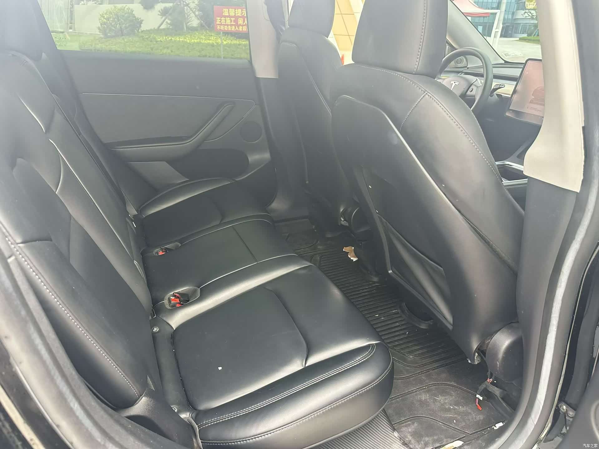 Tesla Model Y, 2023 все фото