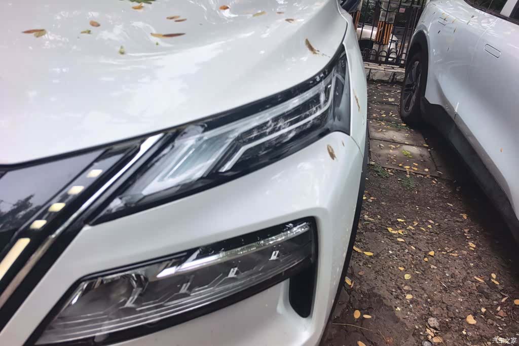 Nissan X-Trail, 2023 все фото
