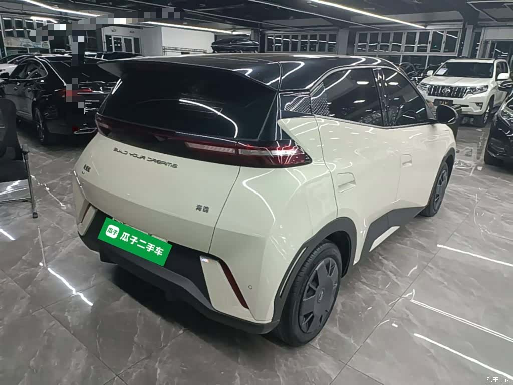 BYD Seagull, 2024 7