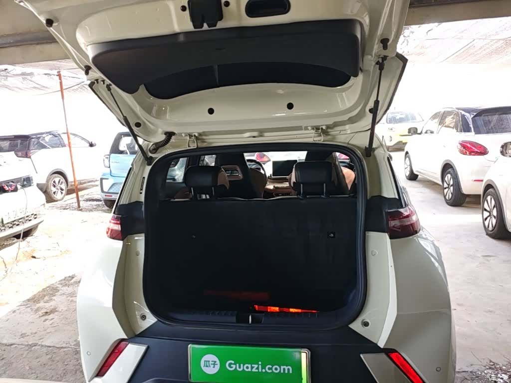 BYD Seagull, 2023 19
