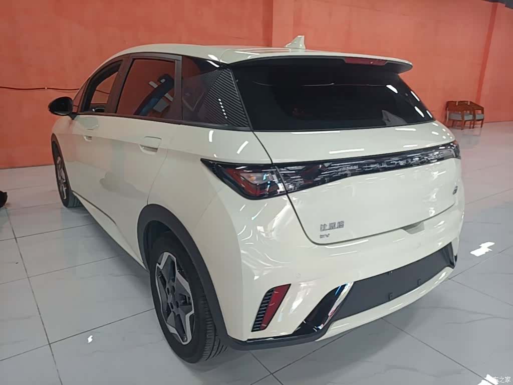 BYD Dolphin, 2023 все фото