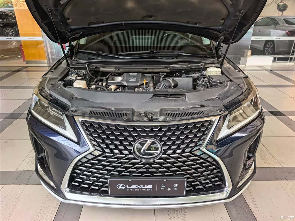 Lexus RX, 2021 10