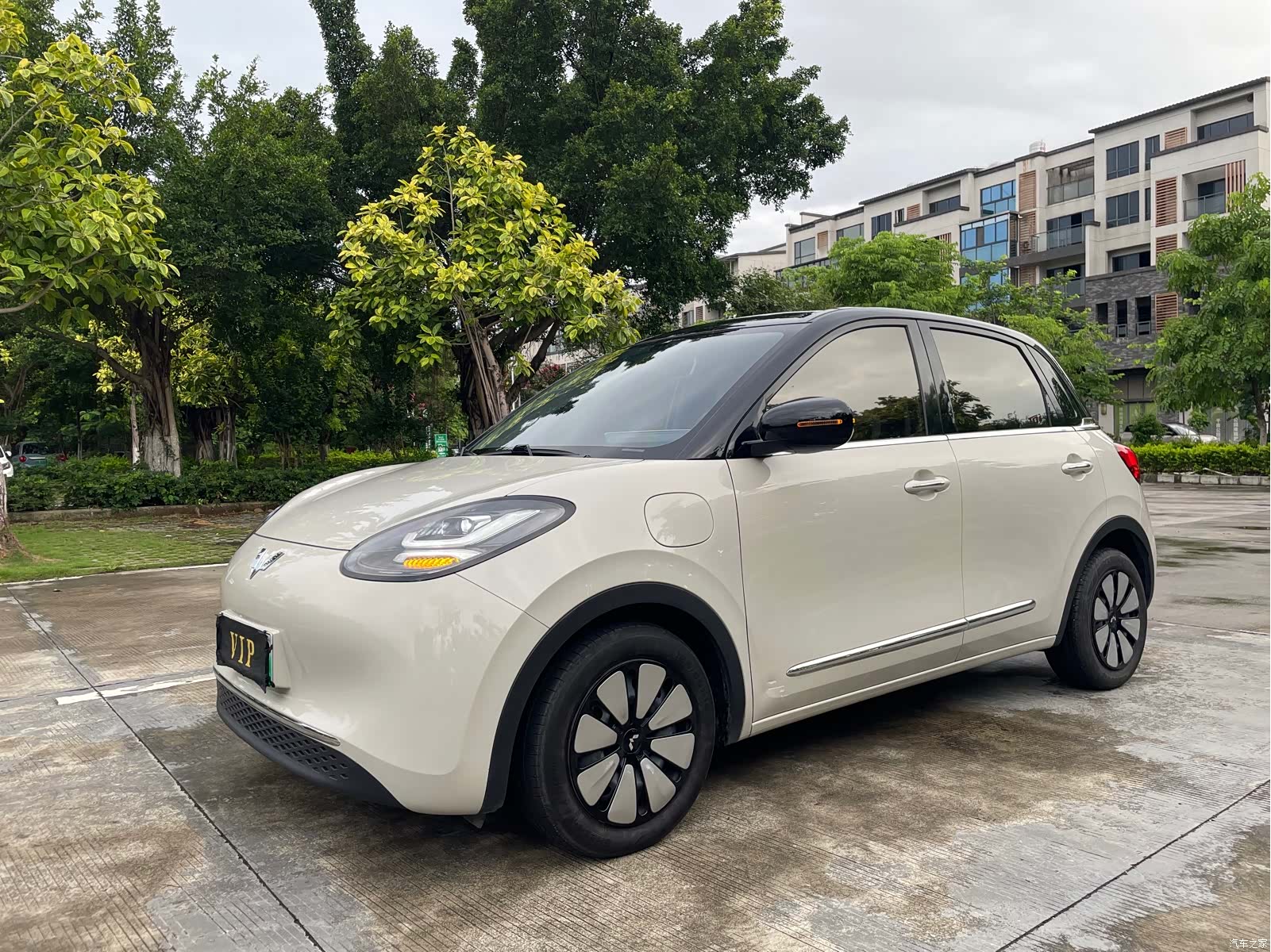 Wuling Bingo, 2024 1