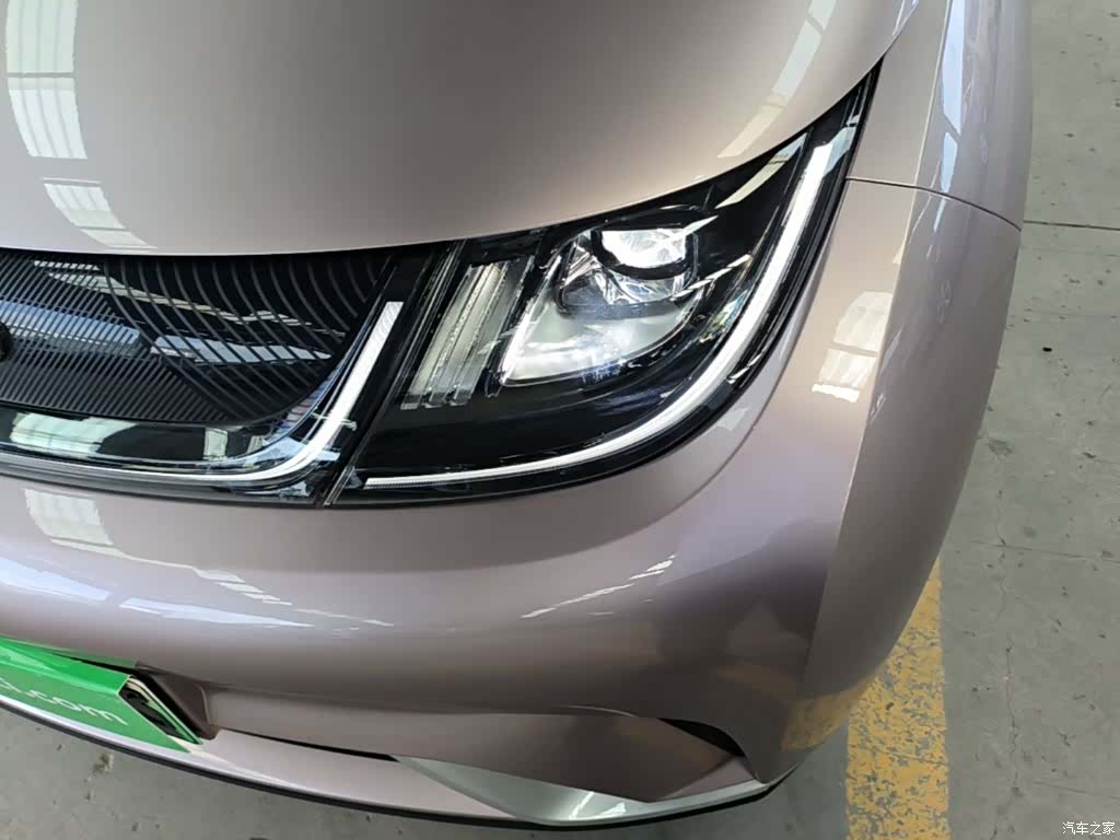 BYD Dolphin, 2022 24