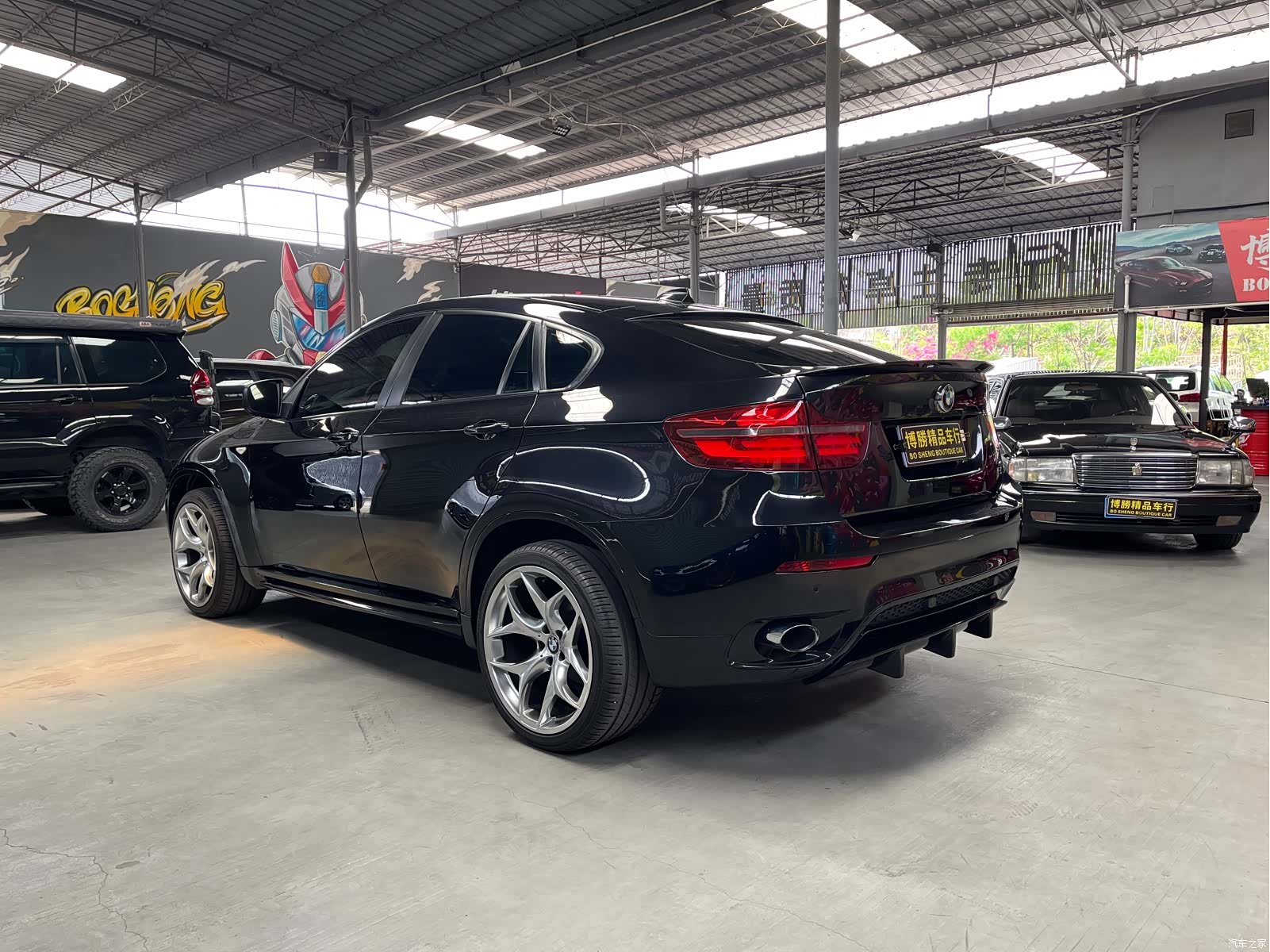 BMW X6, 2009 7