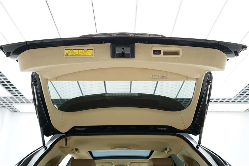 Lexus RX, 2009 25