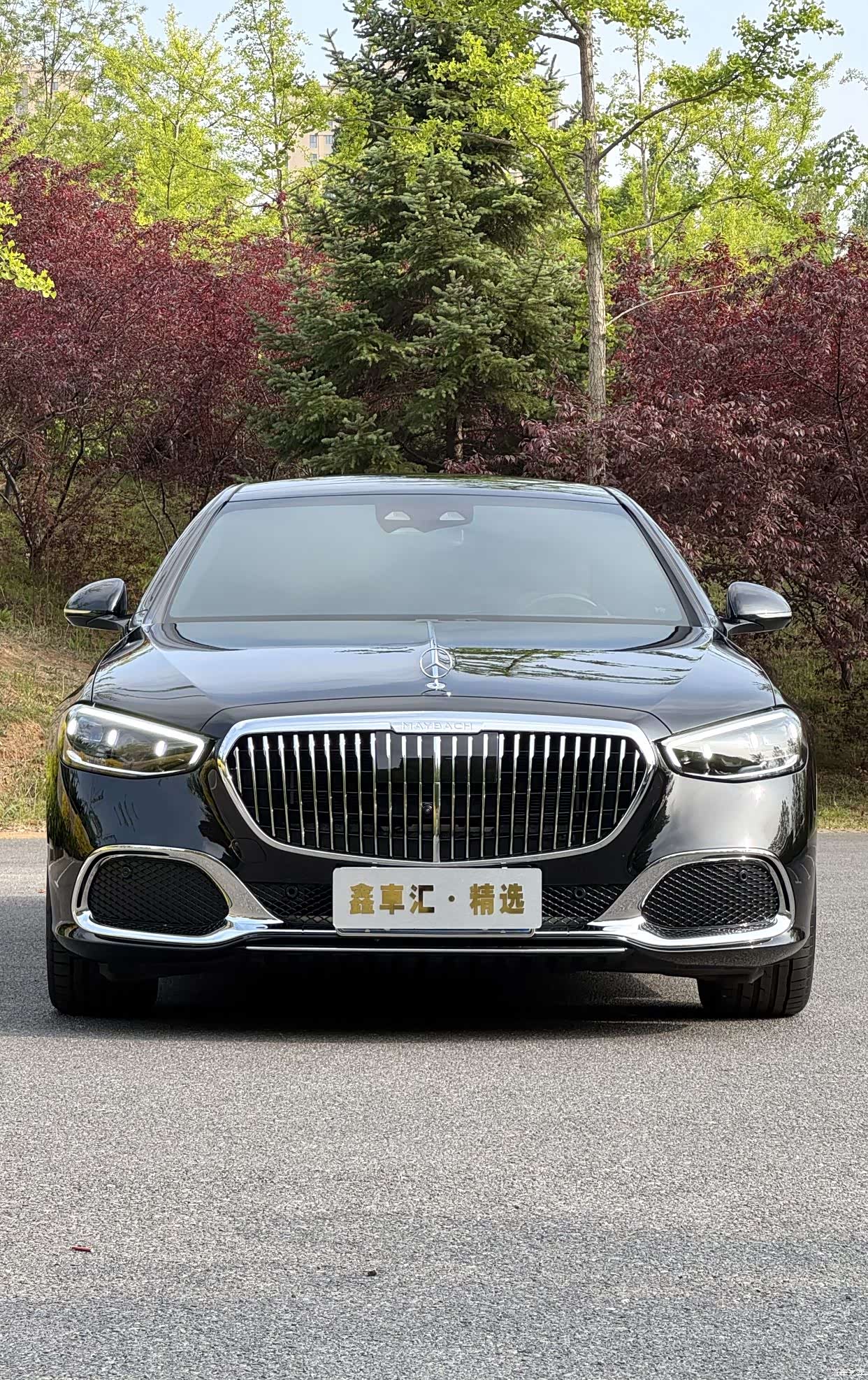 Maybach S-Class, 2025 2