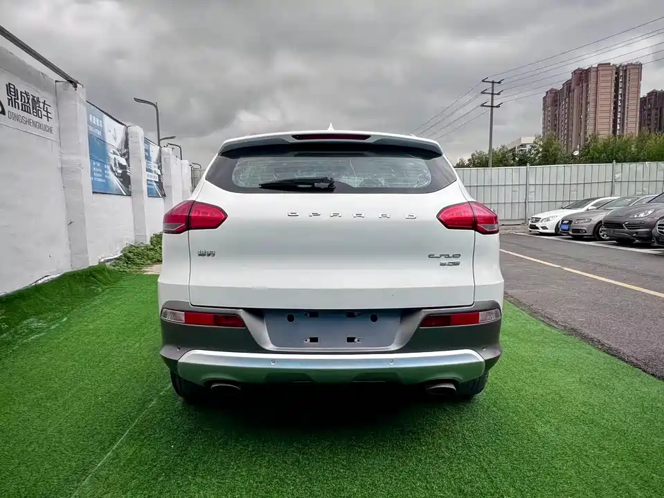 Leopaard Cheetah CS10