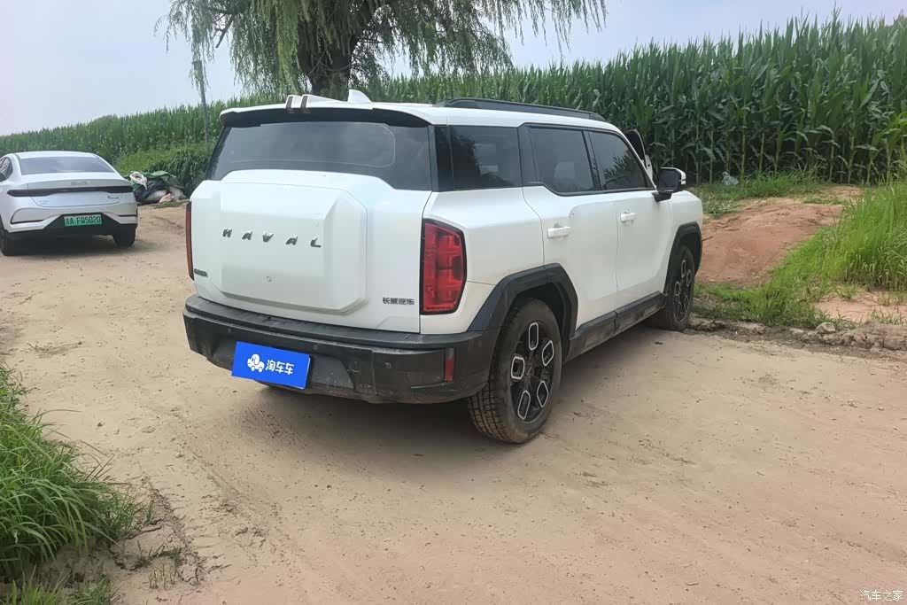 Haval Cool Dog, 2023 3