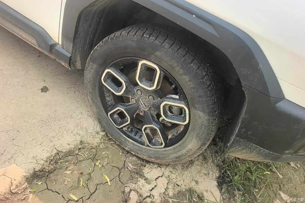 Haval Cool Dog, 2023 6