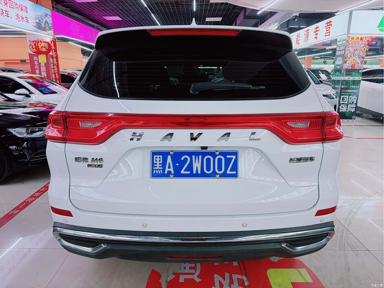 Haval M6, 2022 все фото