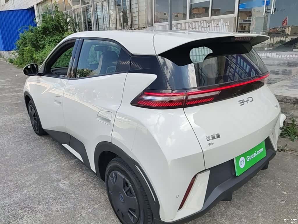 BYD Seagull, 2024 все фото