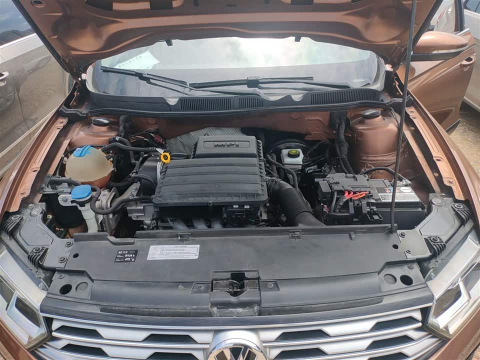 Volkswagen C-TREK Wei Collar