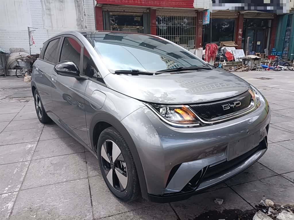 BYD Dolphin, 2024 4